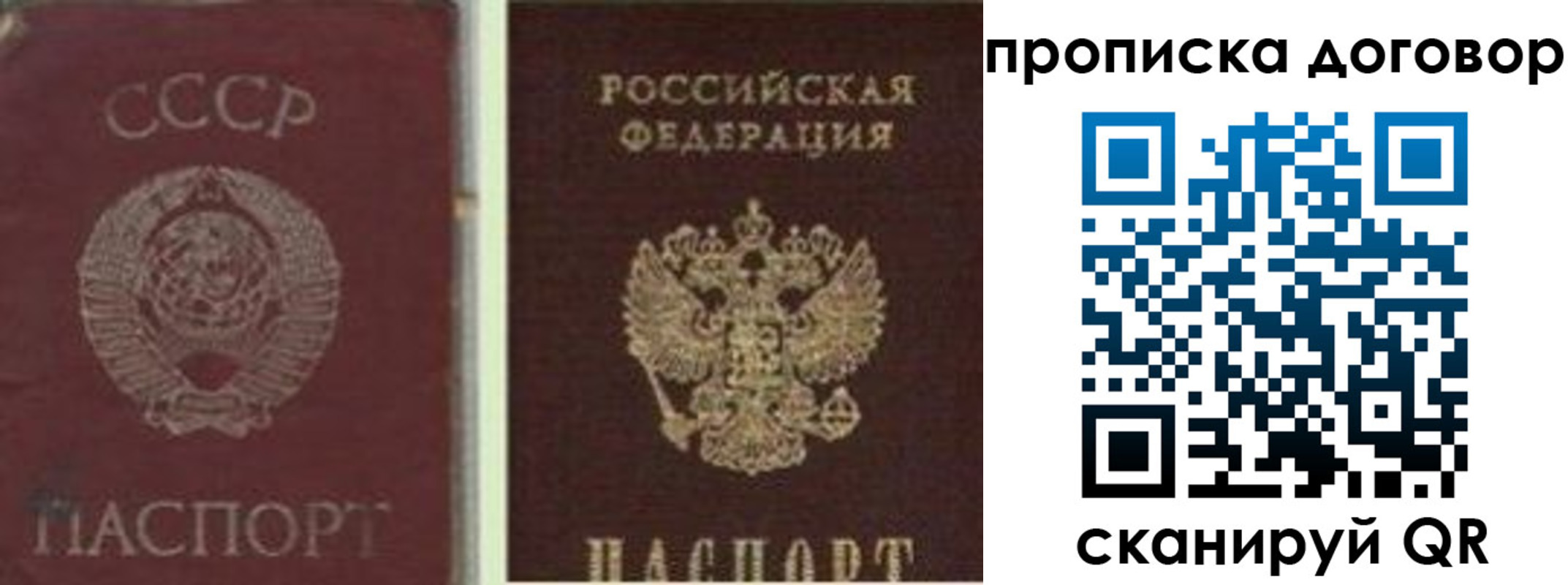 прописка гарантия в Боре